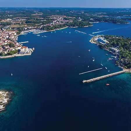 Awesome In With Swimming Pool Nova Vas (Porec)
